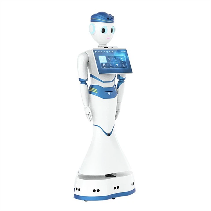 Humanoid Service Robot