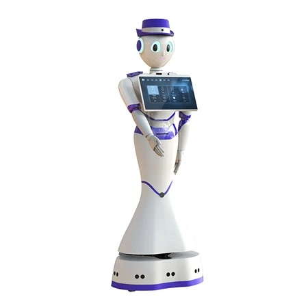 Humanoid Intelligent Service Robot with Big Screen for Advertising