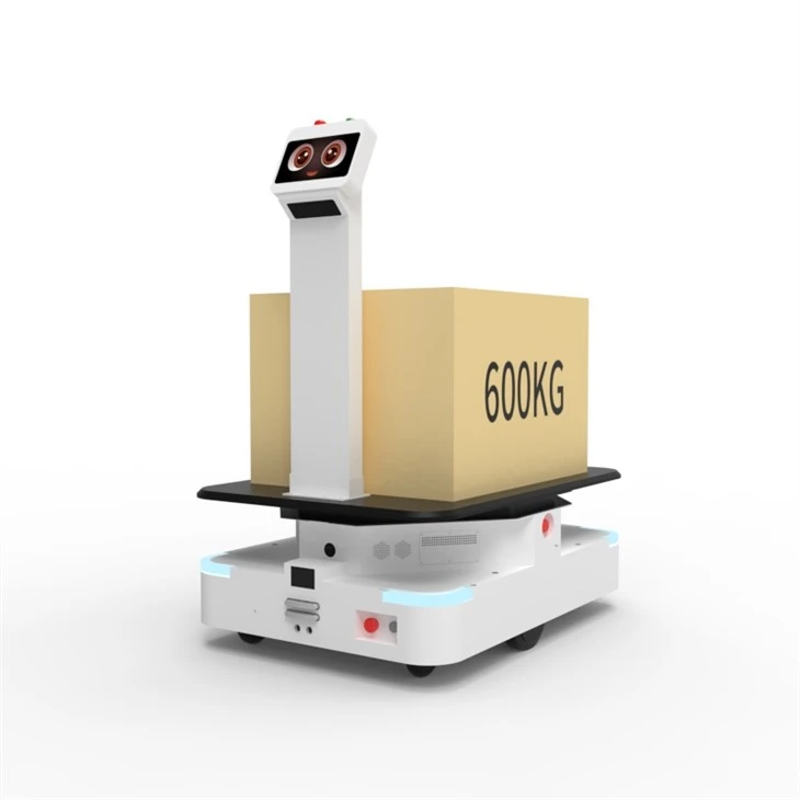 Iron Bov·Delivery Robot